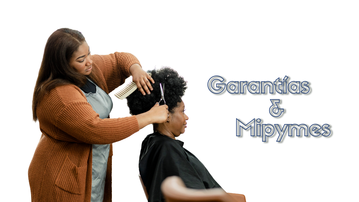 De garantías a oportunidades: instrumentos para una inclusión financiera de las mipymes